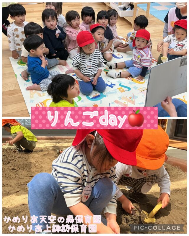 社会福祉法人カメリア