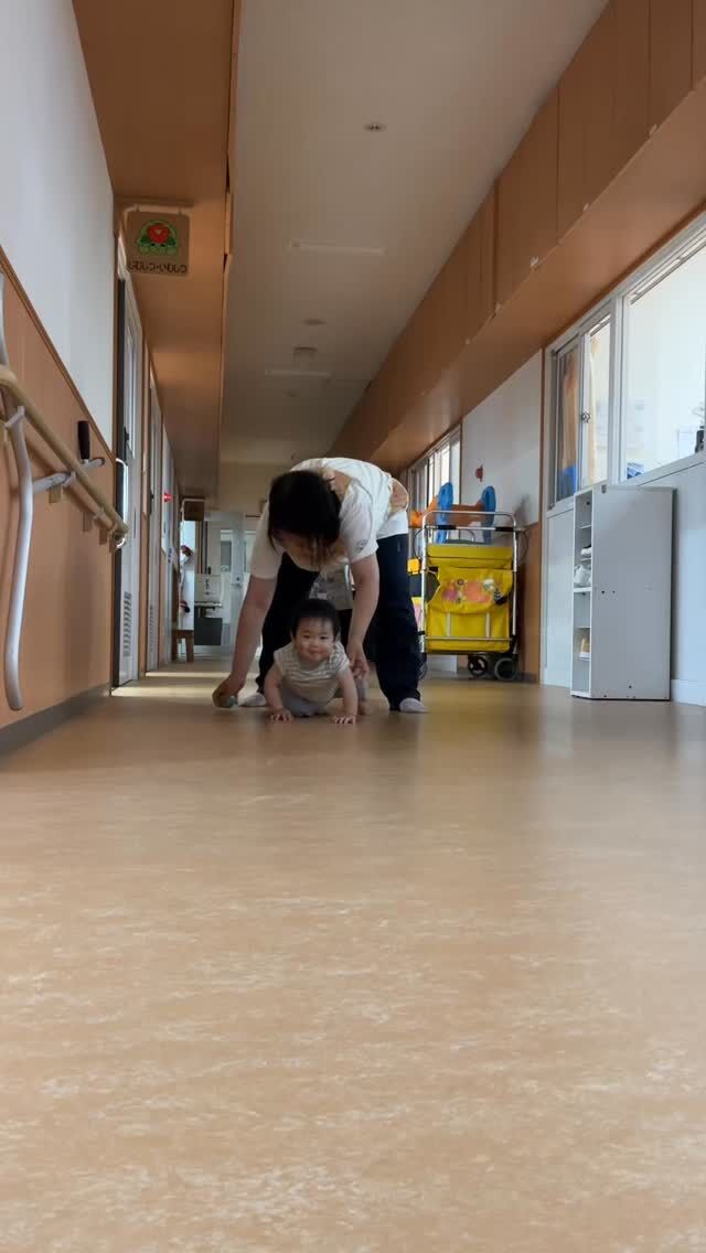 社会福祉法人カメリア 社会福祉法人カメリア